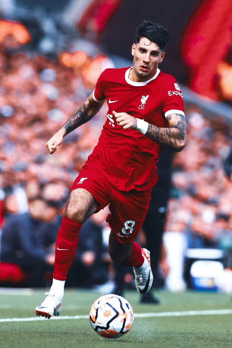 AnfieldAgenda's tweet photo. We’ve signed an absolute gem, haven’t we? https://t.co/p3BRUVCvOD
