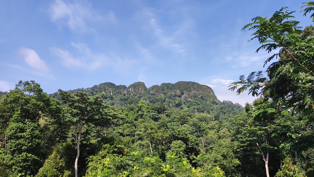 mistaaimanvevo's tweet photo. Morning hike bersama mereka yang ohsem @jemibandana @LifeReplahhh @AwangKen1T ❤️ #BukitPau #Kemensah #HuluKelang #Selangor #Malaysia #hiking #weekendthings #weekendvibes #hikingbersamaMaman https://t.co/uwxIKnDruv