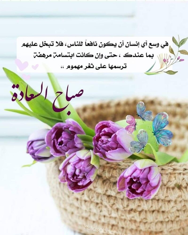 badmmg3's tweet photo. #العودة_للدراسة #صباح_الخيرᅠ #عام_دراسي_جديد 
صباح السعادة💐 
وعام دراسي جديد فلتعقدوا العزم منذ البداية على أنْ تجعلوا هذا العام عاماً دراسيّاً متميّزاً بالجد والاجتهاد، عامراً بالنشاط والعزيمة.🤍 https://t.co/GdRLcml4zO