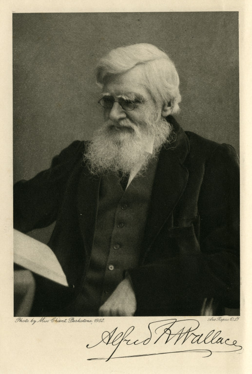 #OnThisDay in 1858, a seminal journal article comprised of papers by Alfred Russel Wallace FRS and Charles Darwin FRS on the theory of evolution by natural selection was published by the @LinneanSociety, the first public announcement of the theory. bit.ly/3k8fq4u