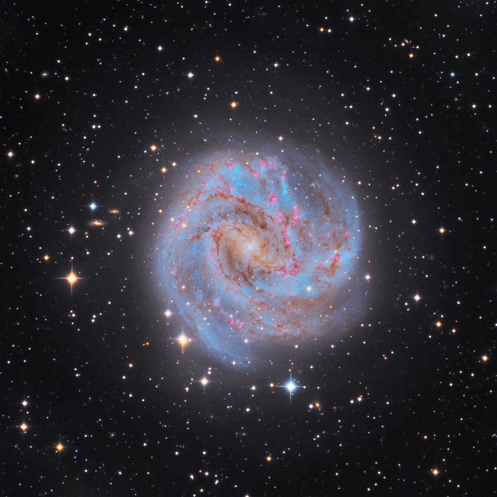 aydinmustafaaa's tweet photo. Happy #WorldPhotographyDay2023 

I am all about the night sky
Galaxies, Nebulae, Comets, Star Clusters. https://t.co/pbIhPFTWKv