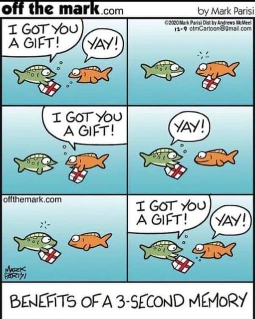 IrenaBuzarewicz's tweet photo. Mark Parisi https://t.co/EYWmhdLhKt