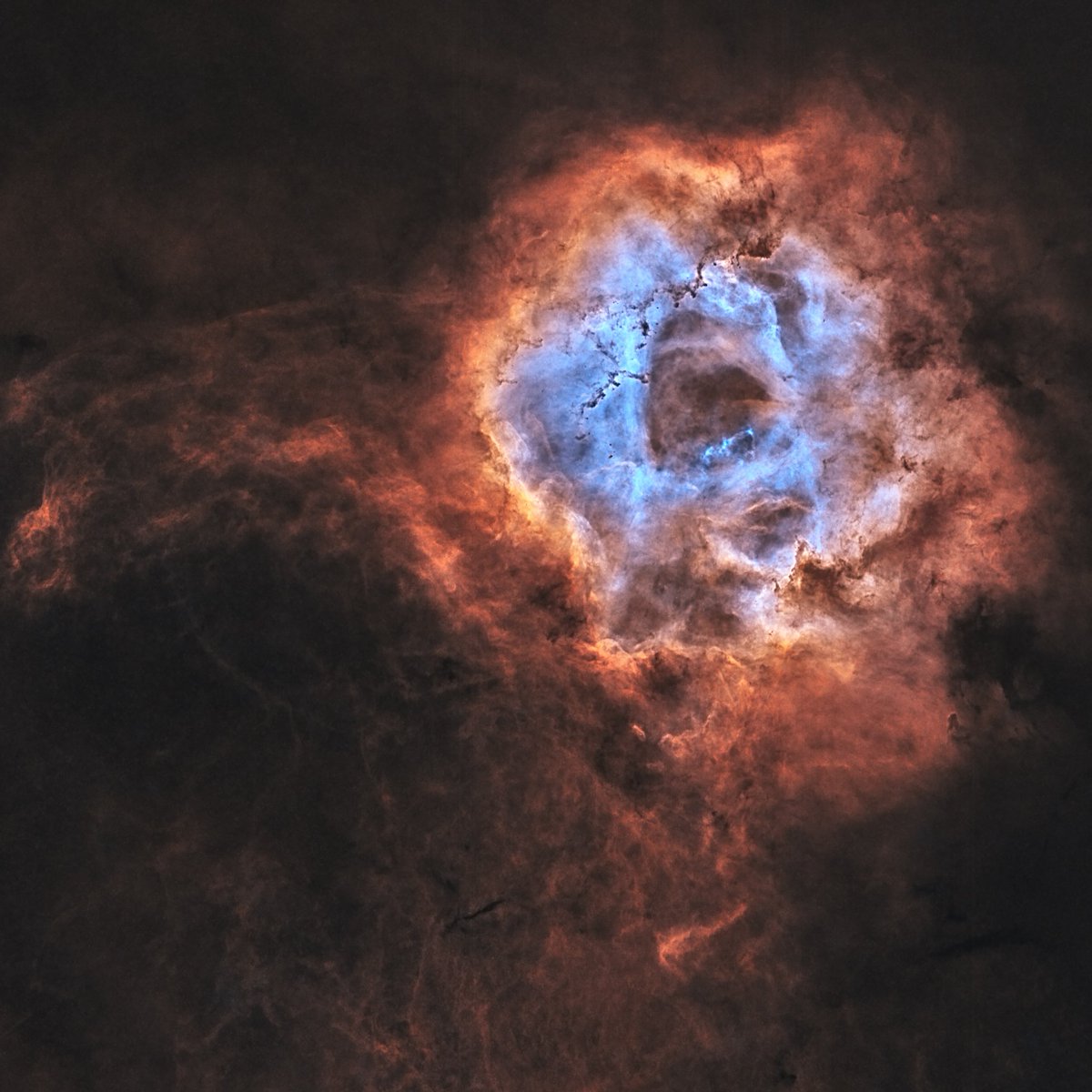 aydinmustafaaa's tweet photo. Happy #WorldPhotographyDay2023 

I am all about the night sky
Galaxies, Nebulae, Comets, Star Clusters. https://t.co/pbIhPFTWKv