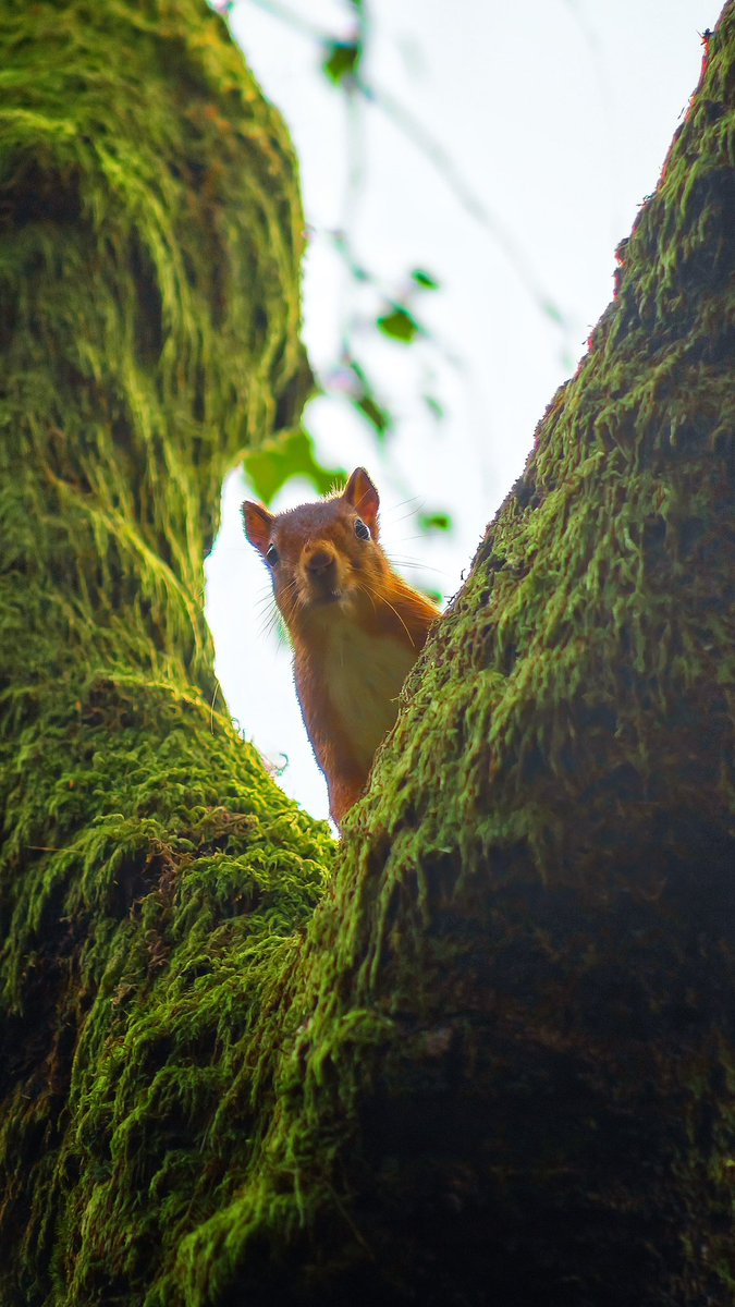 Carl Milner Design & Photography tweet media