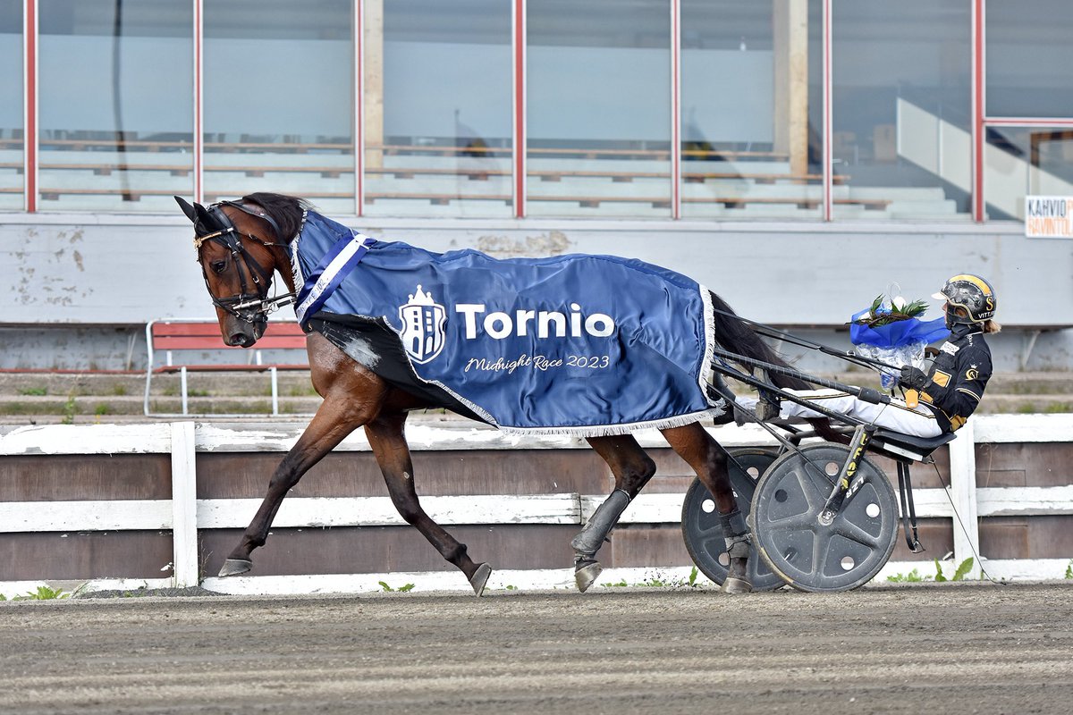 Tällä viikolla Kavioliiga-ravit kilpailtiin Tornion Laivakankaalla 🏆

🥇Trouble Leader
🥇Hyypän Lilja
🥇Bellatrix Club
🥇Hector Sisu
🥇Just Massive
🥇Hissun Turbo
🥇Devils Tongue

📷: Mia Mäki-Maunus