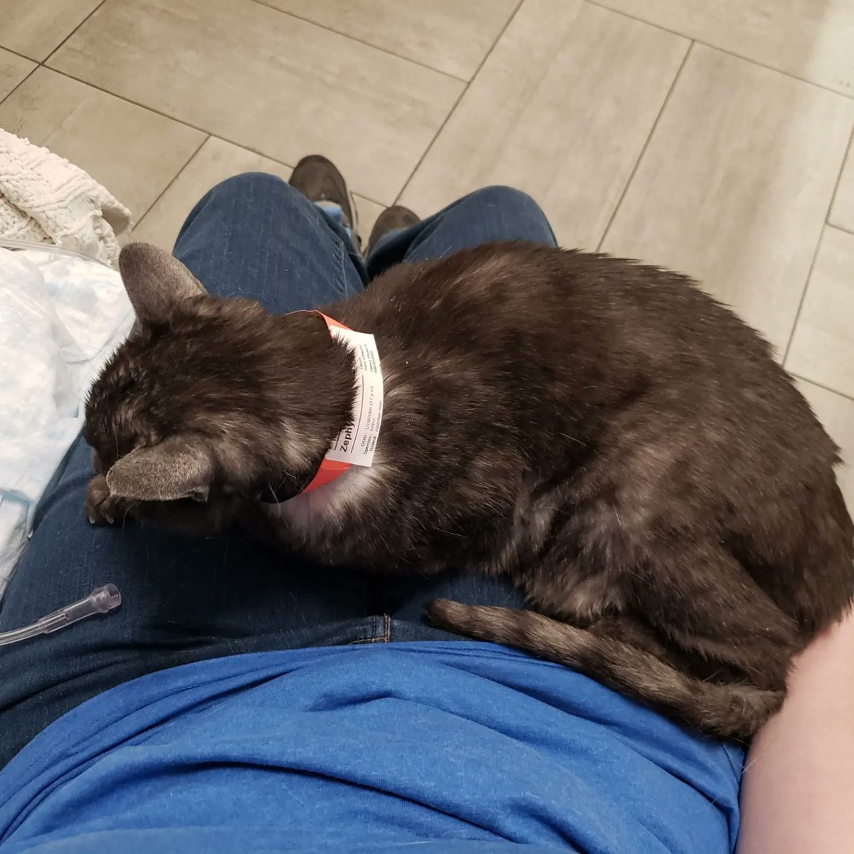 Update posted: gofund.me/f6fe8046