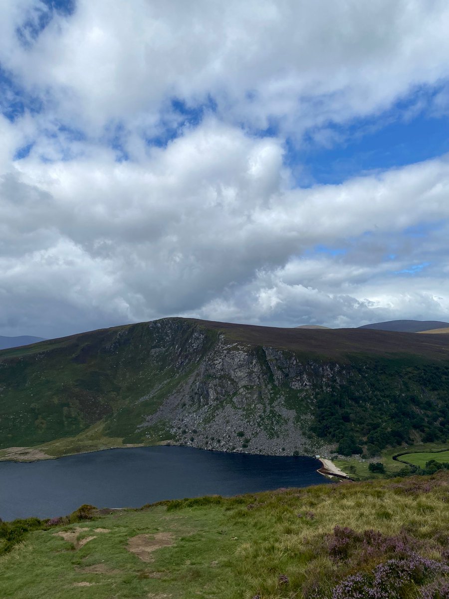 kerrymgordon's tweet photo. Walking rescue Greyhounds Nina Simone &amp; Otis Redding at the stunning boardwalk at Ballinastoe Woods in Wicklow. Lough Tay (the Guinness Lake) is the view when you emerge from the forest. Best place in the world to live! #Ireland #Wicklow 💚☘️ https://t.co/Xppvahwkk8