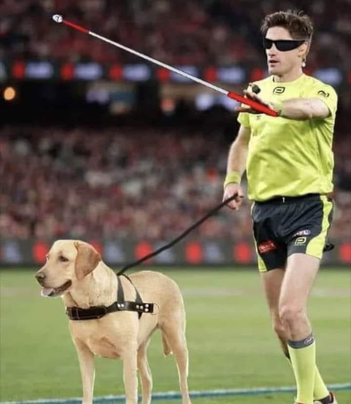 wal03041983's tweet photo. @7AFL https://t.co/Ia4YewH9cx