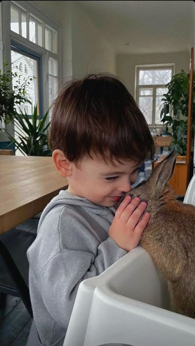 dilan_eth's tweet image. Was walking with my son in the woods and met a cute and harmless fluffy hare, he looked scared and hungry, my son really asked me to take him with me and I couldn't refuse him😐

Should we leave it at our house or not?