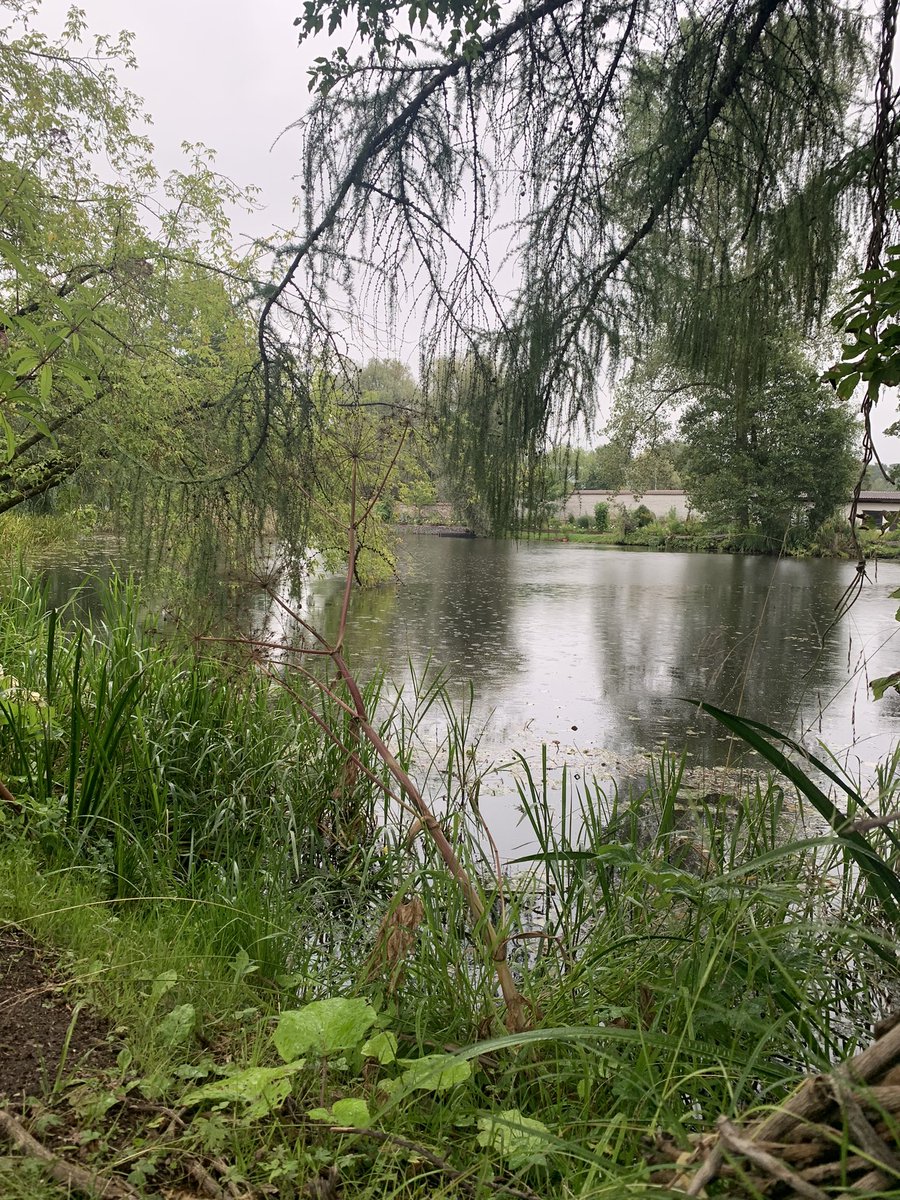 coddiepoc's tweet photo. Arrived in Tartu, Estonia for the @SAME17_Tartu conference! ๐ช๐ช Took a quick look in the botanical gardens yesterday ๐ชดโฒ๏ธ ๐ Looking forward to meeting everyone this evening at the registration and hearing all about some fantastic science! #SAME17 https://t.co/lF5zKMlTFk