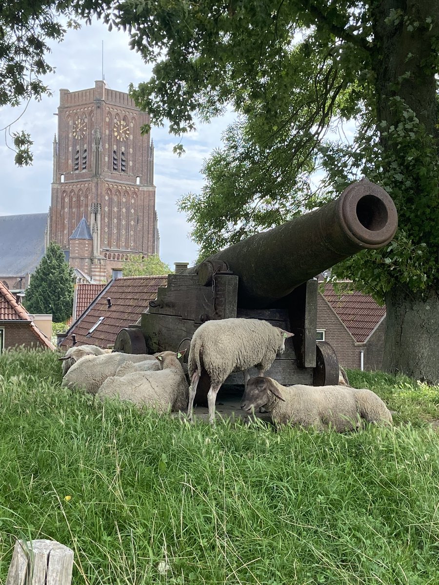 Hoe mooi ons landje toch is.
thuistravel.nl

#nederland