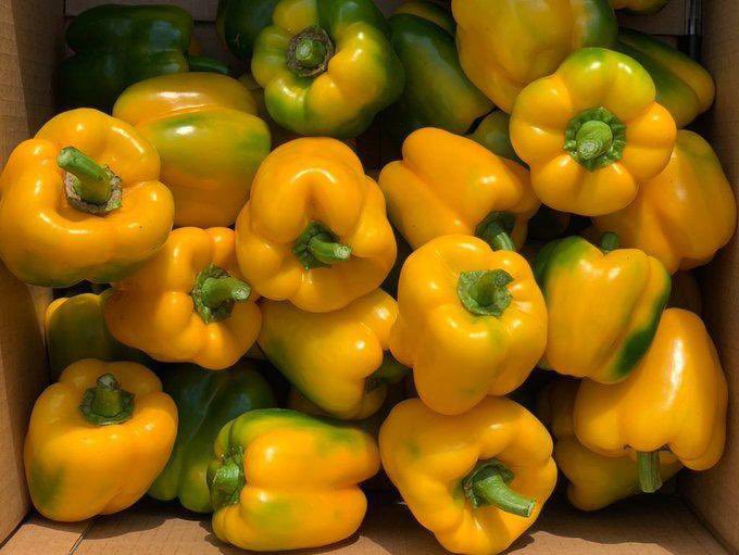 oregonfarms_'s tweet photo. Produce of 🇹🇿

Happy Sunday Fam! #oregonfarms https://t.co/v4ibHXrR49