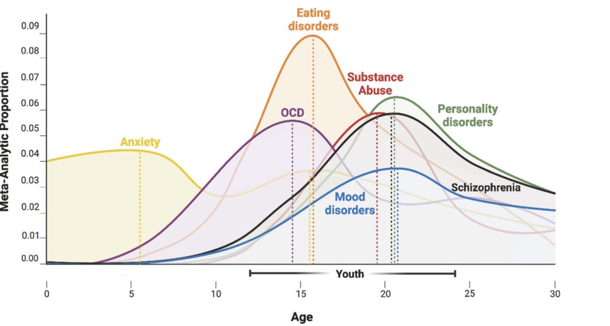 Towards a youth mental health paradigm: a perspective and roadmap

“Most mental disorders have a typical onset between 12 and 25 years of age, highlighting the importance of this period for the pathogenesis, diagnosis, and treatment of mental ill-health” nature.com/articles/s4138…