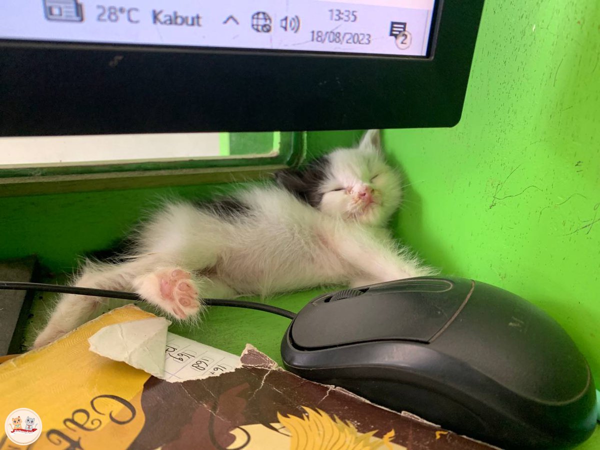 kochengfs's tweet image. kcg! Potong gaji dulu apa lgsg pecat aja nih karyawan tukang molor gini?😡