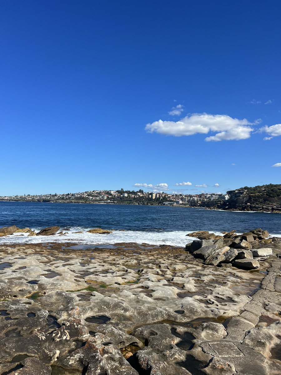 chvyynh's tweet photo. Spring is approaching ☀️☀️☀️ https://t.co/QuwRbh8lpX