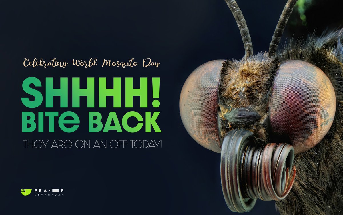 pradee360's tweet image. Celebrating World Mosquito Day!
Bite Back: They are on an off today. #pradeedesignseries #worldmosquitoday #designerthoughts #creativedesign