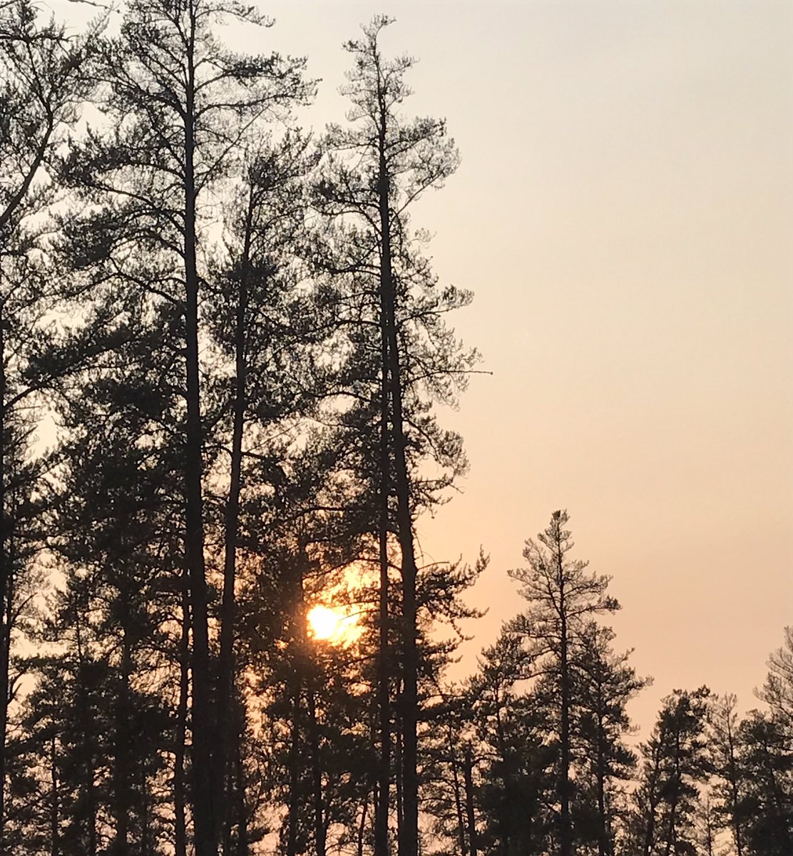 mounlimited634's tweet photo. I had a much needed night of fire and laughter with good people ๐
#sunset #mbsunset #mbsummer #laughterismedicineforthesoul https://t.co/aKoDHK87AX
