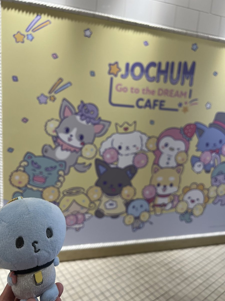 micoon_'s tweet photo. ちゃむ活🧸🫧
サンリオ様一生ついていく🥹❤️
来月は何頼もうかな〜🧐
ちゃむ推しはRURUちゃん🐩👑

#JOCHUMCAFE  #JOCHUM  #JO1 https://t.co/C1eS8oUdlv