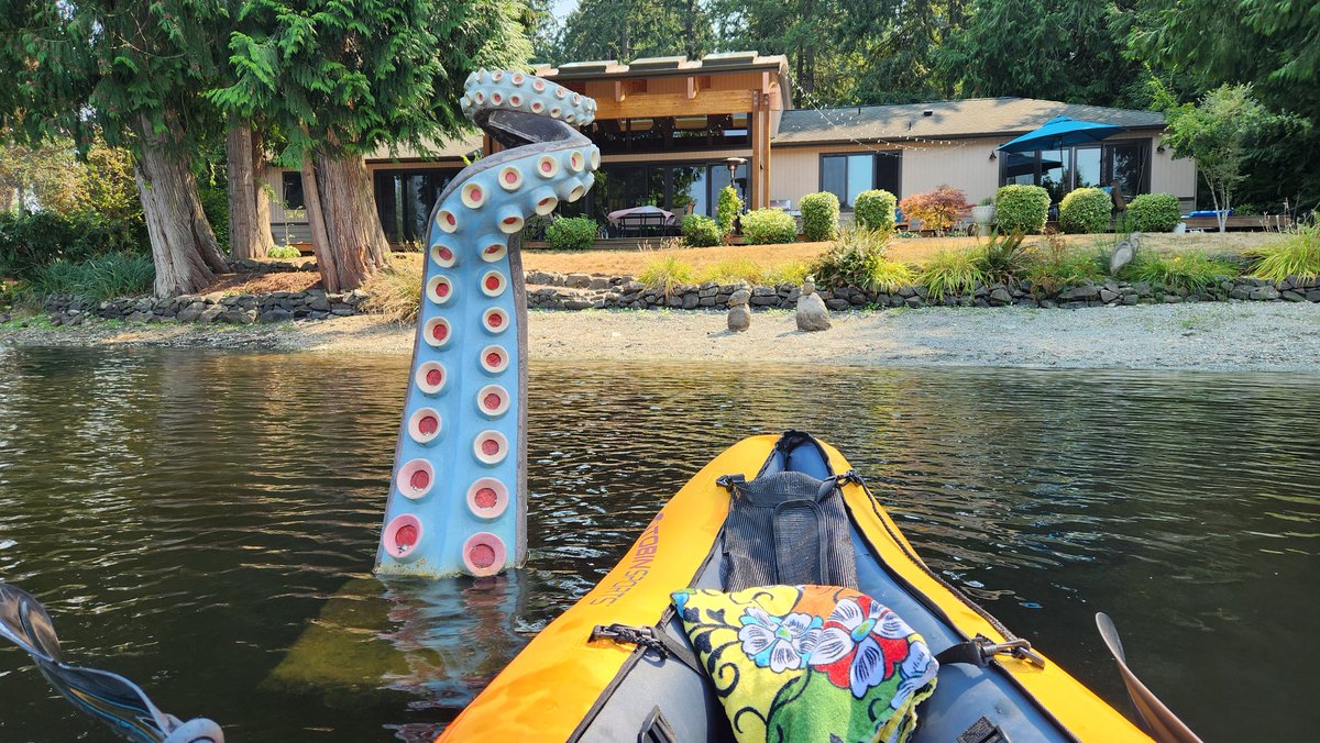 RichKomikino's tweet photo. On August 19th, I attended a #Geocaching event, found an Adventure Lab, kayaked to a virtual #cache and found a regular cache. What a great way to celebrate #InternationalGeocachingDay! Also cleared the #WheelOfChallenges! https://t.co/BAcI4Qn6tC