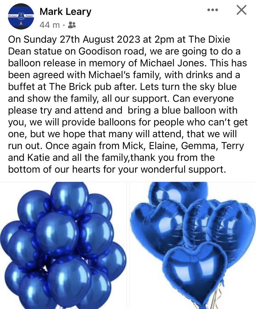 The1878s's tweet photo. Can everyone please read this and pass it on. 

Let’s make the sky blue for Michael next Sunday at 2PM at Goodison (Dixie Dean Statue) 💙💙💙💙💙💙💙💙💙💙💙 https://t.co/xedjyzqfoq