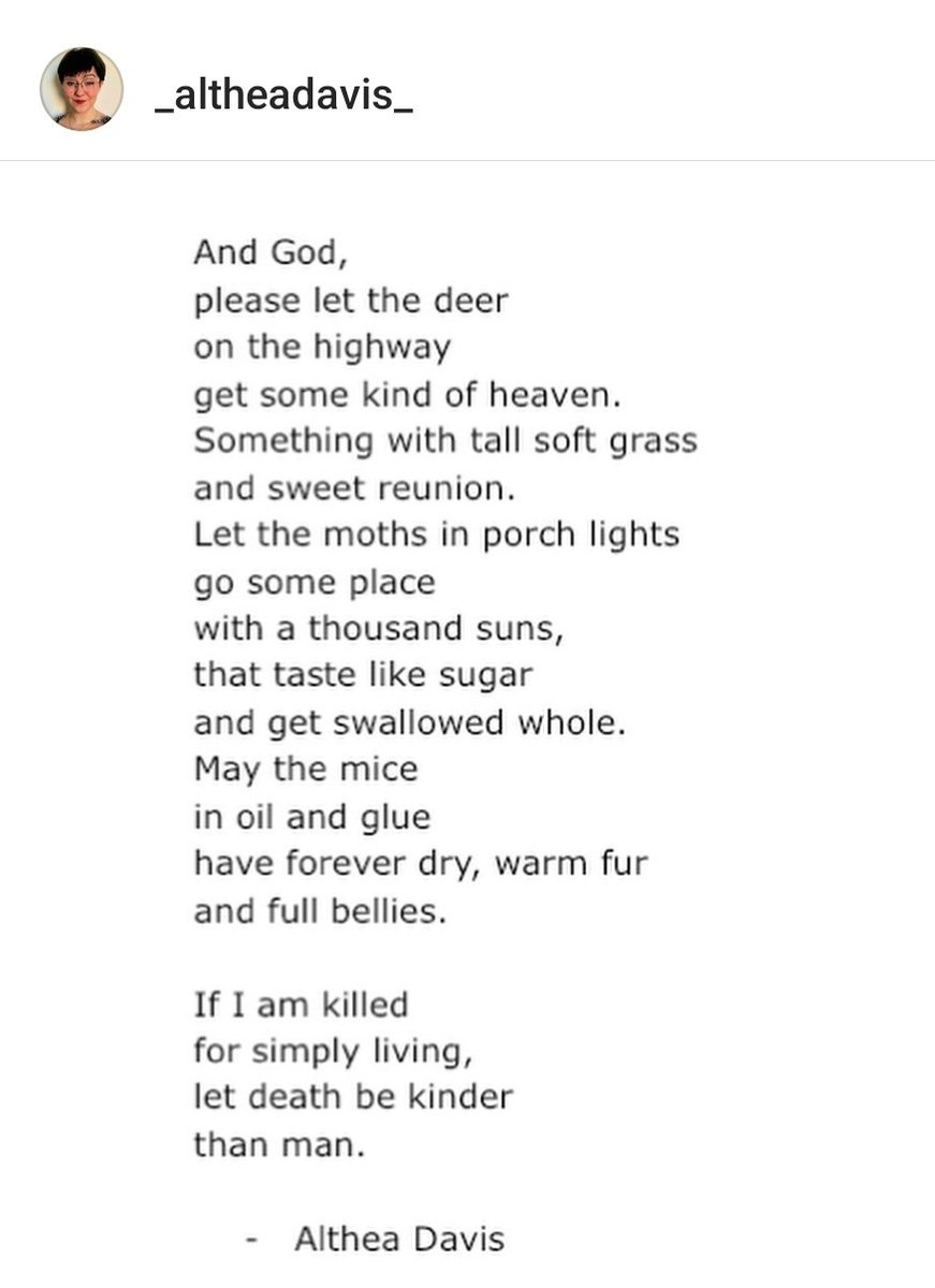 AmyBeePhD's tweet photo. 'And God, 
please let the deer 
on the highway 
get some kind of heaven. 
Something with tall soft grass 
and sweet reunion.' 

I haven't been able to stop thinking about this poem it has broken my heart in the best way. https://t.co/viWTkzc7qH