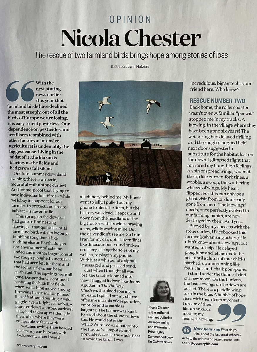 nicolawriting's tweet photo. The stone curlew &amp; the lapwing … a race to save farmland birds, &amp; the farmers that do … 
We are down to the very last of the species in too many places. @CountryfileMag @BBCCountryfile https://t.co/BaoFdKKSWC