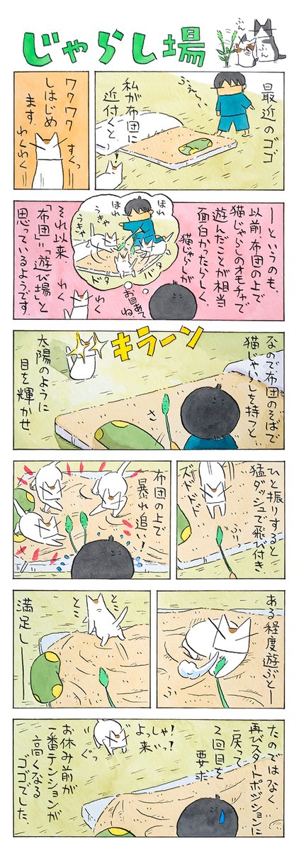 猫じゃらしと場所│フェリシモ猫部 https://t.co/vGfgaxBvOl 