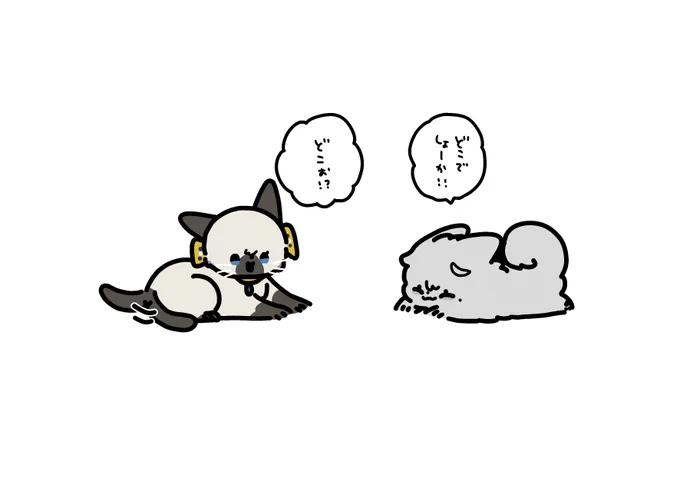 なんどみても ここ、かわいい 