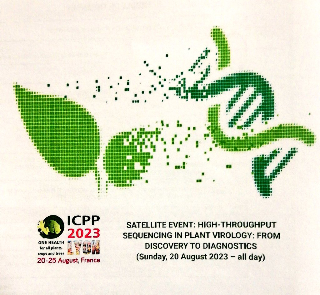 Melissa Joubert tweet media