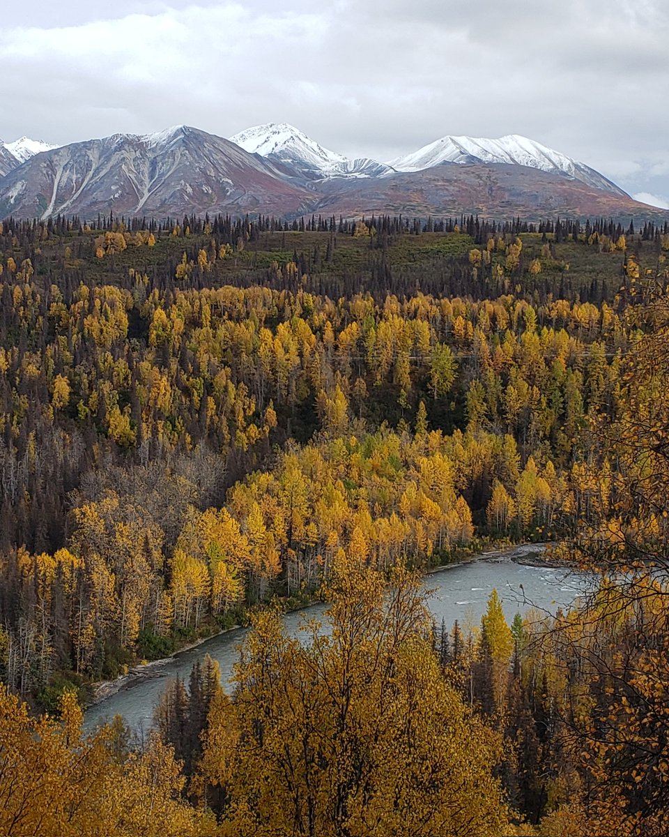 Fall colors are just around the corner

#alaska #fallcolors #terminationdust #goldenrod #adventures #nature #NaturePhotography #scenic #fall #ohtheviews #rivers #mountains #optoutside #offthebeatenpath #vista #hiking #backcountry