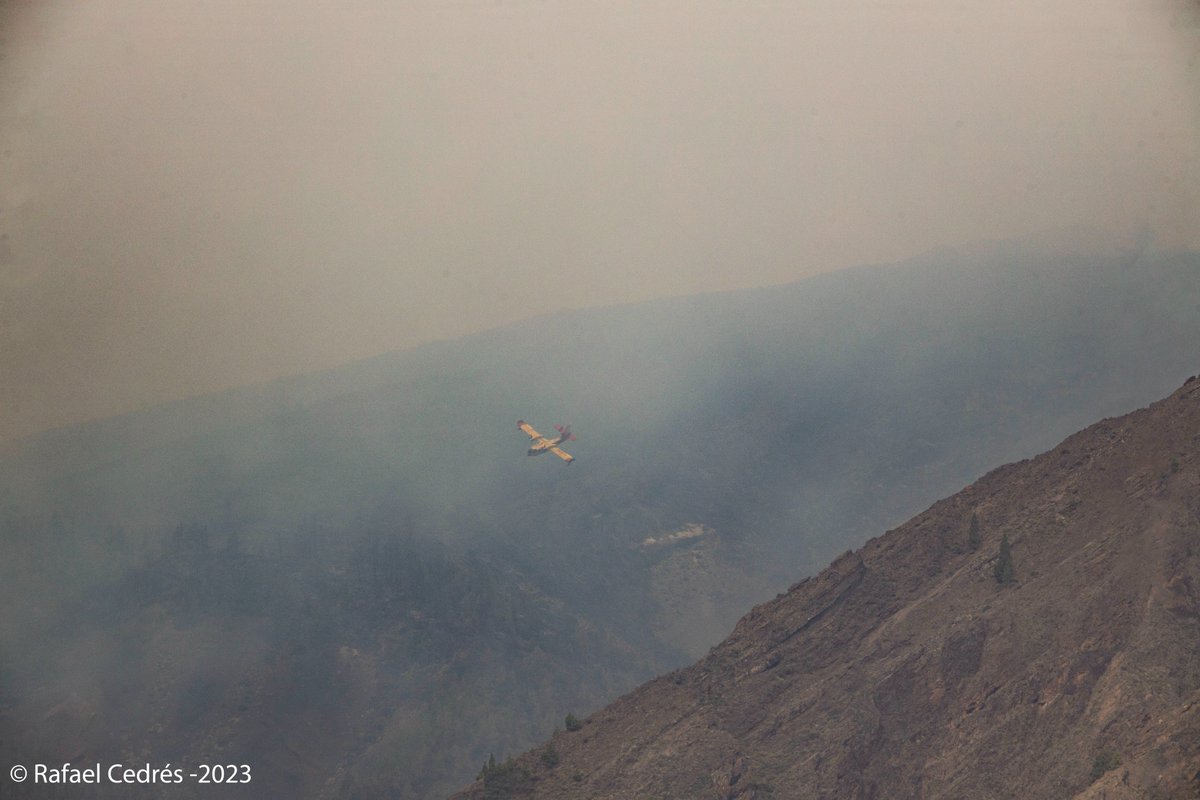 rcedres's tweet photo. Aviones del #ala43 cargan en Santa Cruz, ascienden hasta alcanzar la altura necesaria para descargar en los altos de Güímar.
Una de las maniobras de aproximación, dan la vuelta por detrás del Pico Cho Marcial
#IFArafoCandelaria https://t.co/lo53CI23ab