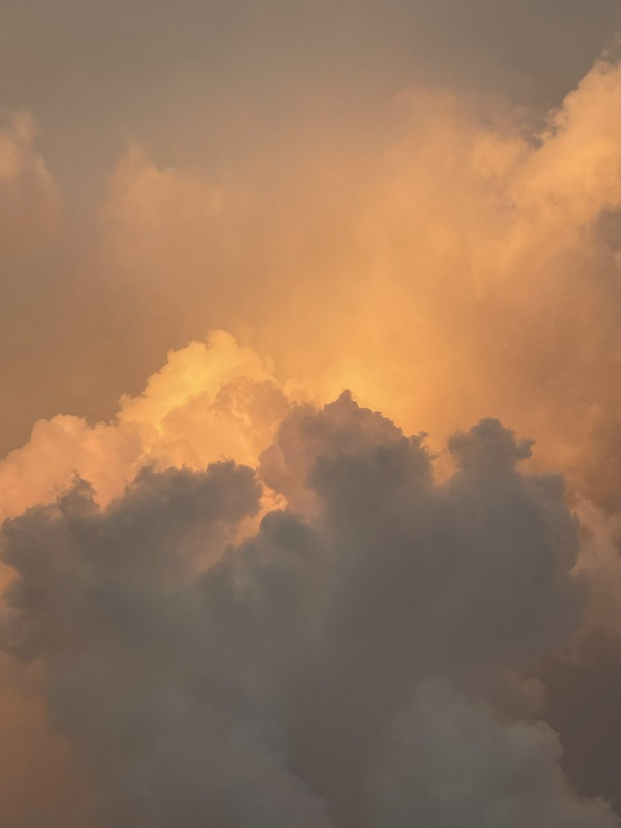 ぬべお🪫まいくら tweet media