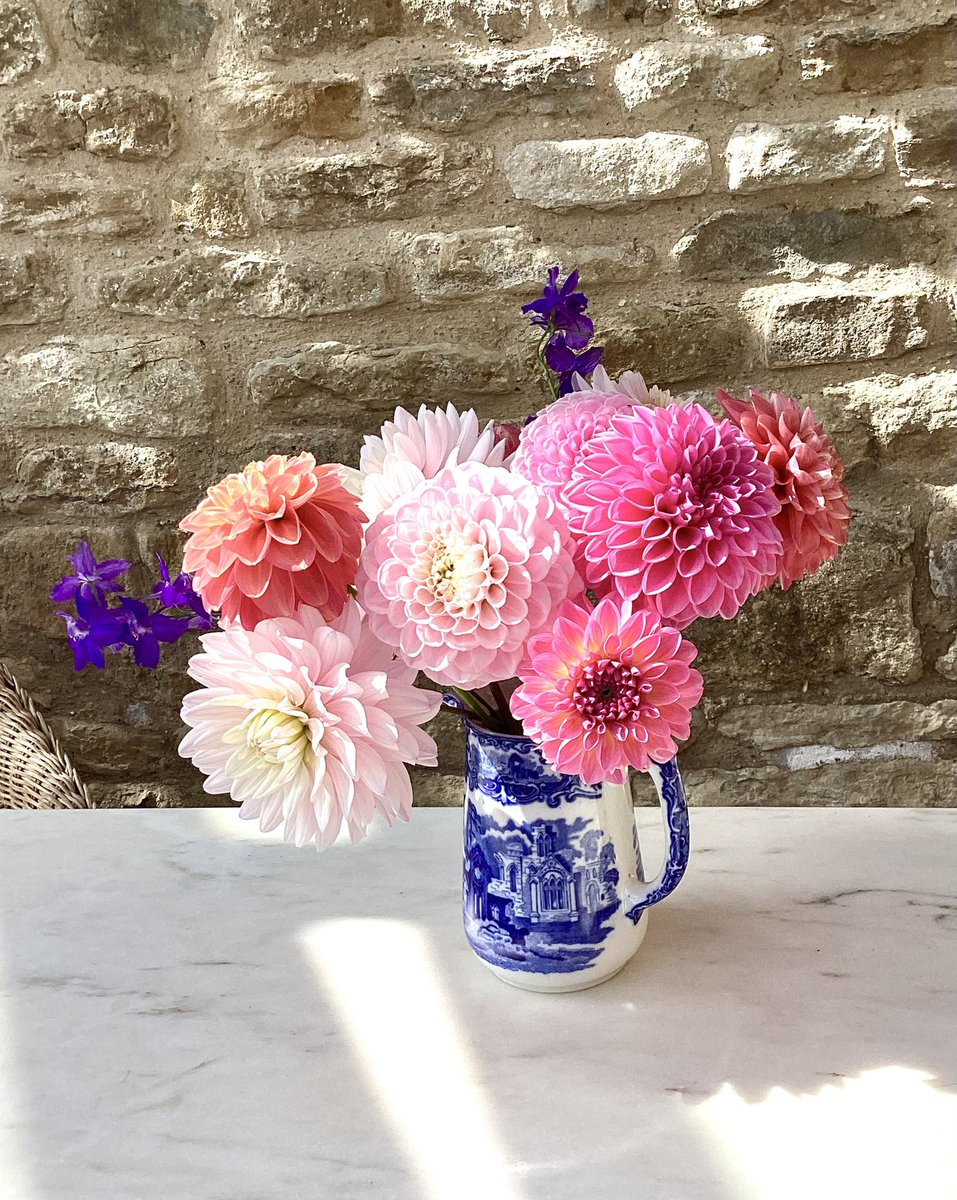 Picked from the garden….the colours 💗💕💗