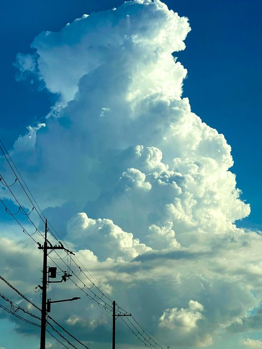 とんでもない上昇気流だ⤴️ 