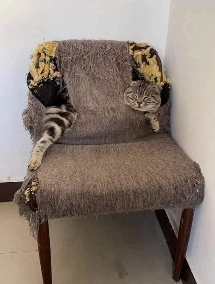 Purrfectly comfy now 🐈🐈‍⬛🐈
#allmyownwork  #CatsOfTwitter