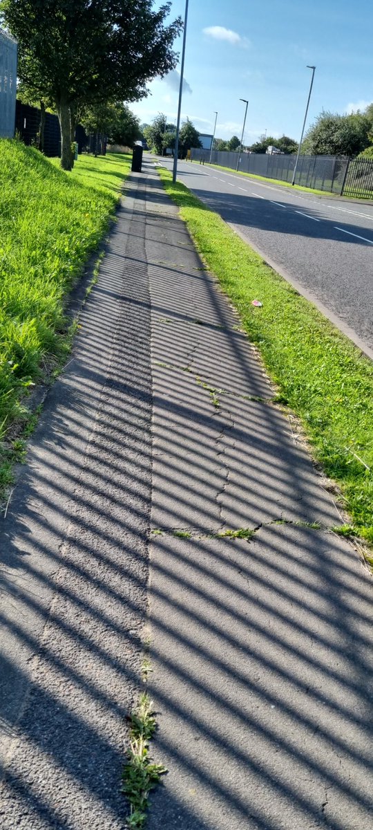 sarahnel80's tweet photo. Lovely morning for a walk 🚶♂️ #freshsunday https://t.co/i75xq1fFbY