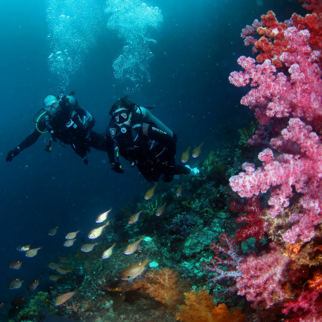 Spent an hour under the sea enjoying myself this morning. #SSI #scuba #Jeju