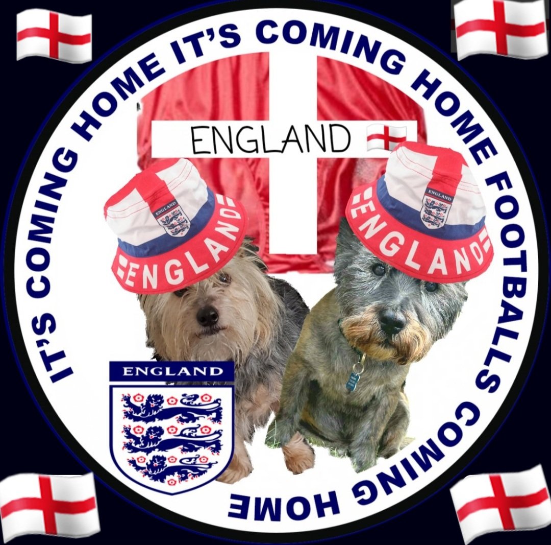 @NormanTheCairn #BovverBoys #ENG #WorldCupFinal #FIFAWWC