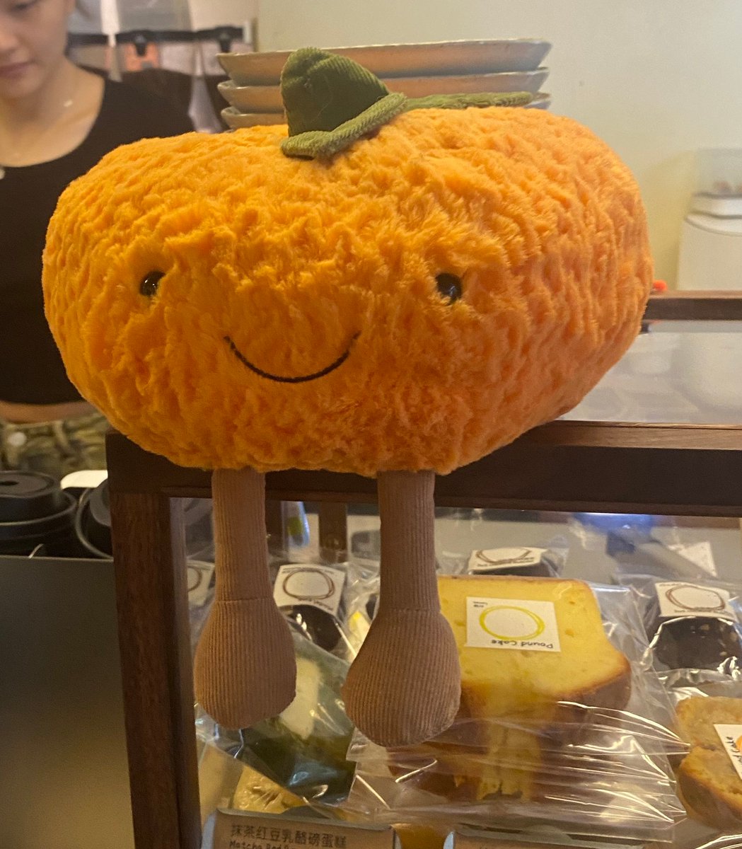 RonanMullin1's tweet photo. 我的朋友 🍊 🫂 #cute https://t.co/xkkQRMapiF