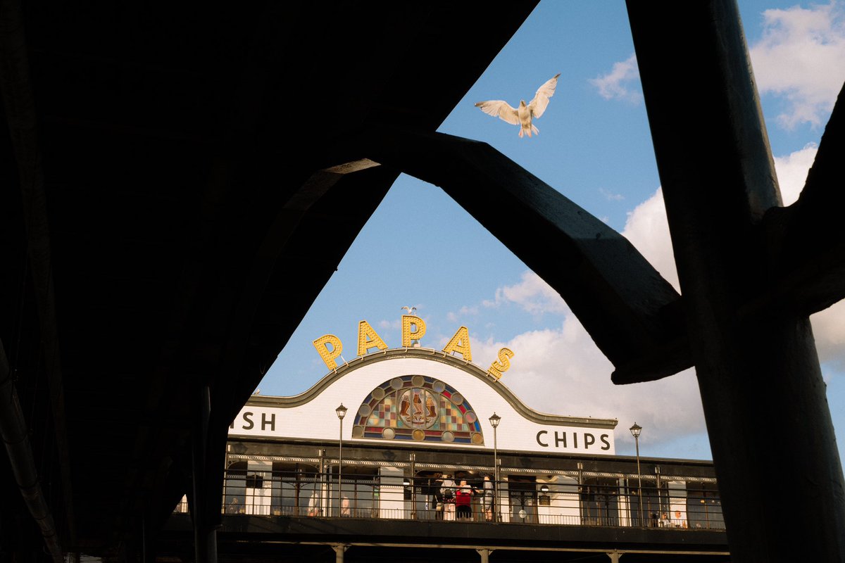 Mike 📸 tweet media