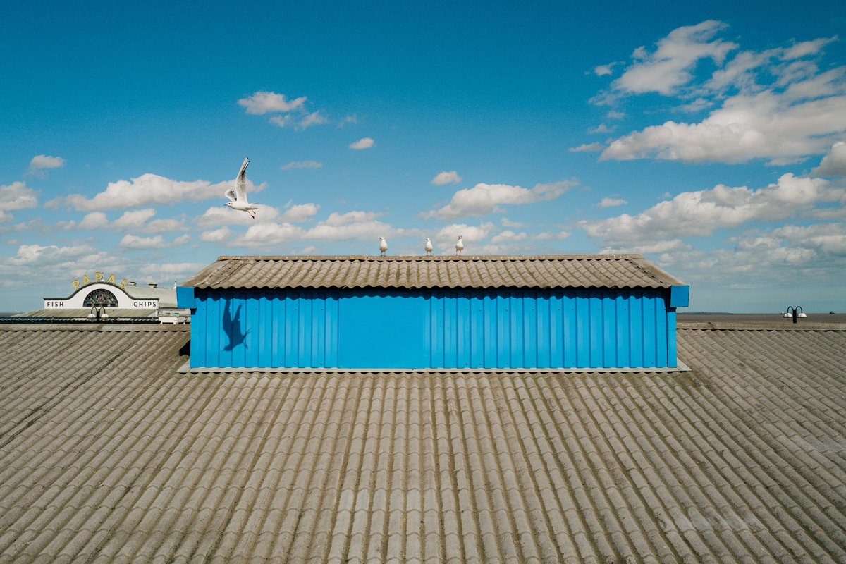 Mike 📸 tweet media