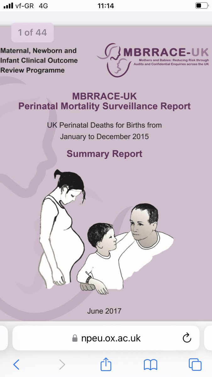 Janette Mills tweet media