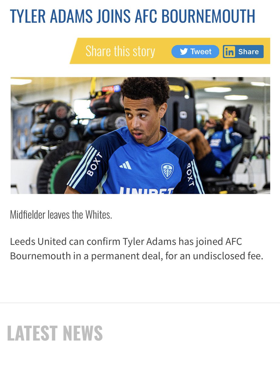 samender91's tweet image. #LUFC