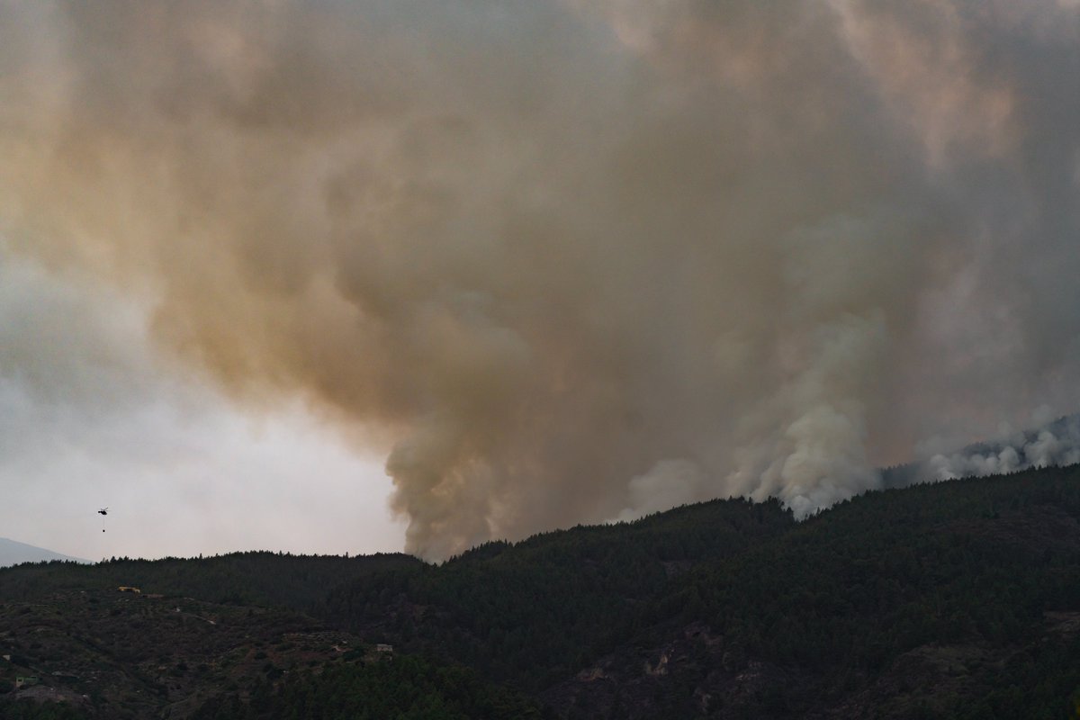 Imanolzuaznabar's tweet photo. Así está la situación actualmente desde Güímar.
Los primeros medios aéreos han llegado sobre las 9 de la mañana, esperemos que puedan frenar su avance y que no cambie de valle.

Cuando acabe esta catástrofe habrá mucho de lo que hablar.

#IFArafoCandelaria https://t.co/t7EJ09Uing