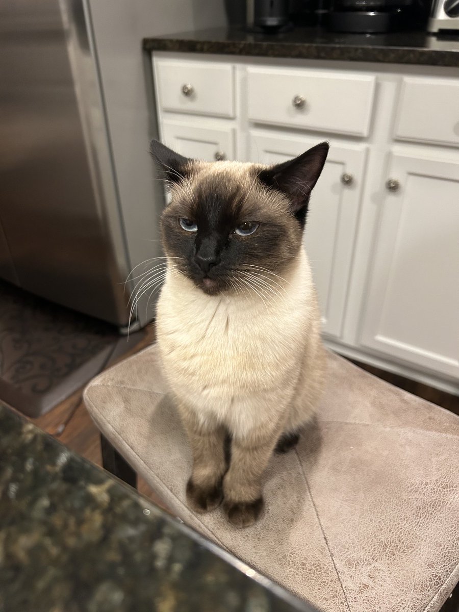 JIVEBOMB tweet media