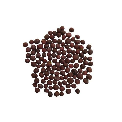 BeejwalaIndia's tweet image. Buy Red Cabbage Exotic Vegetable Seeds Pack
beejwala.com/products/red-c…

🎁 SPECIAL OFFER: Up to 90% off  
👉 beejwala.com/collections/be…
📦 Dispatch in 1 - 2 Days
#beejwala #Cabbage #RedCabbage #ExoticSeeds #VegetableSeeds #garden #gardening