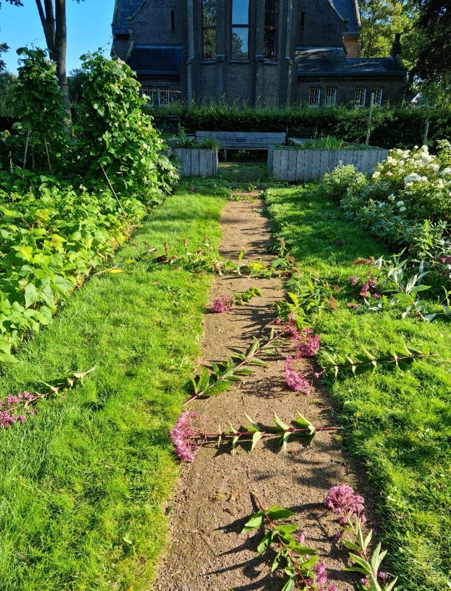 Kloosterenburen's tweet image. Zo jammer dit. Wat een hersenloze actie. Vooral sneu voor onze Oekraiense ouderen die hier hun plezier en verzetje uit haalden.

Hopelijk heeft iemand iets gezien, of wellicht wil de dader(s) de boel weer in orde maken/zich melden en excuus aanbieden.