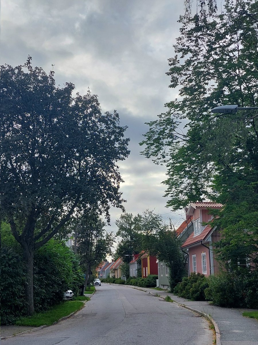 RonanMullin1's tweet photo. 🍃  🏡 🍃 https://t.co/mH9U6J8fD6
