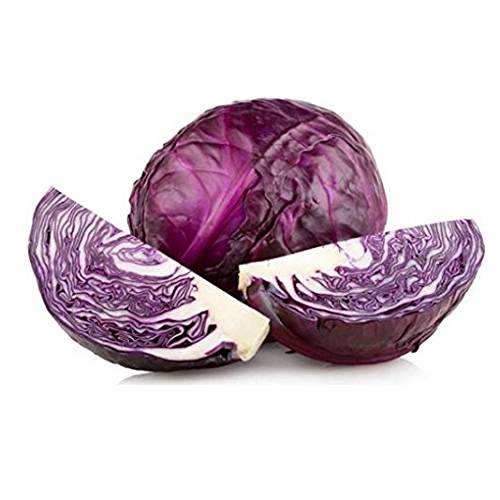 BeejwalaIndia's tweet image. Buy Red Cabbage Exotic Vegetable Seeds Pack
beejwala.com/products/red-c…

🎁 SPECIAL OFFER: Up to 90% off  
👉 beejwala.com/collections/be…
📦 Dispatch in 1 - 2 Days
#beejwala #Cabbage #RedCabbage #ExoticSeeds #VegetableSeeds #garden #gardening
