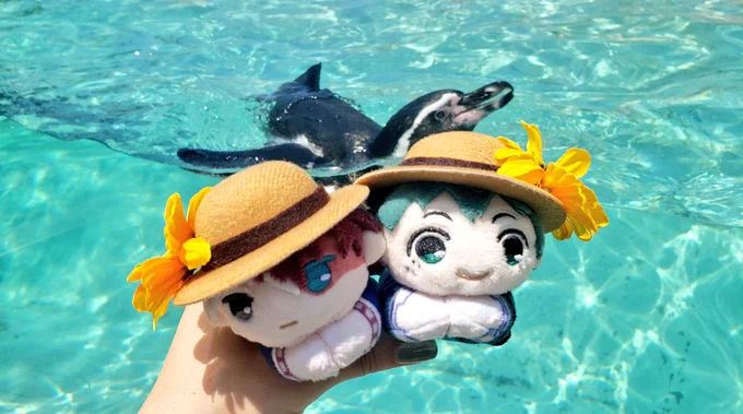 ゆずきさんとへ…お魚さんとぬいちゃんがかわいかった～ 